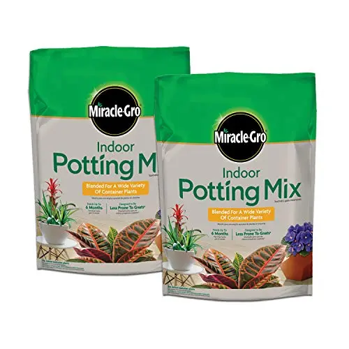 Best Potting Mix For Indoor Plants - 2026 Reviews - Room Aesthetic